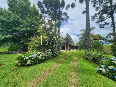 Fazenda/Sítio com 8 Quartos à venda, 180m² no Laranjeiras, Campo Alegre