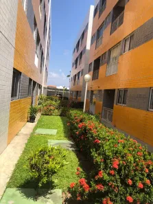 Apartamento com 3 Quartos à venda, 60m² no Pau Amarelo, Paulista