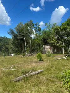 Fazenda/Sítio à venda, 2800m² no Centro, Manaus
