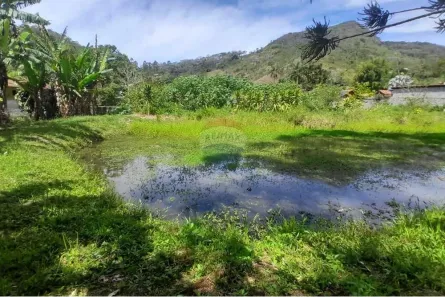 Fazenda/Sítio à venda, 6934m² no Bom Jardim, Bom Jardim
