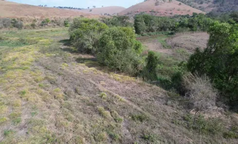 Lote/Terreno à venda, 30000m² no , São Lourenço