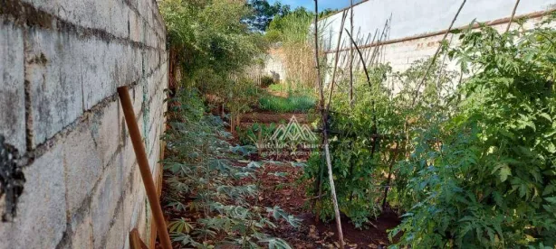 Lote/Terreno à venda, 252m² no Jardim Javari, Ribeirão Preto