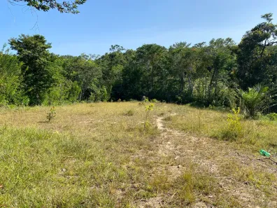 Fazenda/Sítio com 2 Quartos à venda, 80000m² no Mar Grande, Vera Cruz