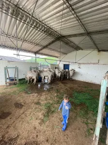 Fazenda/Sítio com 4 Quartos à venda, 103000m² no Mar de Espanha, Mar de Espanha