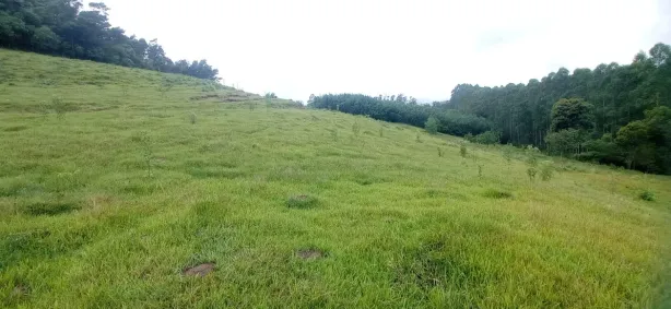 Fazenda/Sítio com 4 Quartos à venda, 80m² no Rio da Ilha, Taquara