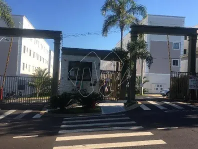 Apartamento com 2 Quartos à venda, 46m² no Jardim das Flores, Araraquara