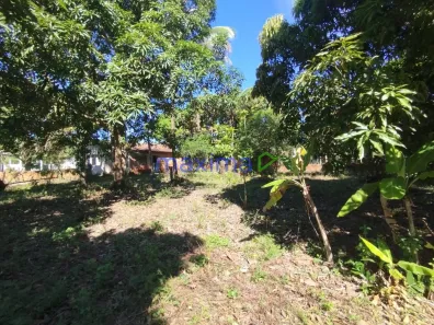 Fazenda/Sítio com 3 Quartos à venda, 1900m² no , Santo Amaro das Brotas