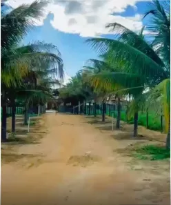 Fazenda/Sítio com 4 Quartos à venda, 1000m² no , Condeúba