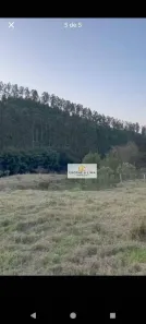 Fazenda/Sítio à venda, 10m² no Natividade da Serra, Natividade da Serra