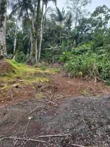 Fazenda/Sítio com 1 Quarto à venda, 34341m² no Amizade, Guaramirim
