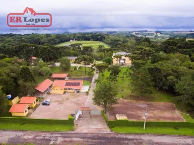 Fazenda/Sítio com 60 Quartos à venda, 6200m² no Itália, São José dos Pinhais
