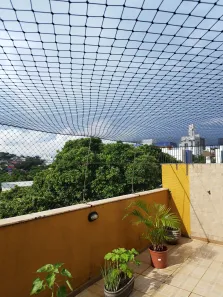 Cobertura com 2 Quartos à venda, 106m² no Santa Inês, Belo Horizonte