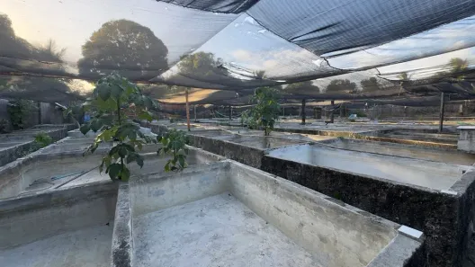 Imóvel Comercial para alugar, 480m² no Iparana, Caucaia