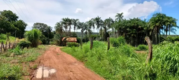 Fazenda/Sítio com 3 Quartos à venda, 135000m² no , Brasília