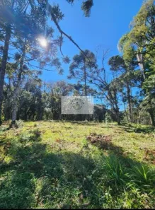 Fazenda/Sítio com 1 Quarto à venda, 10000m² no , Campo Alegre
