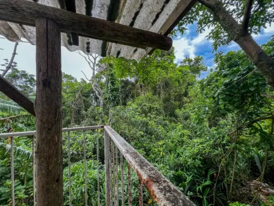Casa com 4 Quartos à venda, 215m² no Campeche, Florianópolis