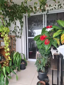 Apartamento com 2 Quartos à venda, 66m² no Vila Gomes Cardim, São Paulo