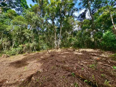 Lote/Terreno à venda, 1763m² no V Britânia, Campos do Jordão