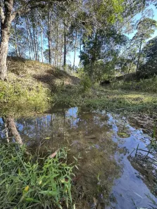 Fazenda/Sítio à venda, 30000m² no , Paulo Lopes