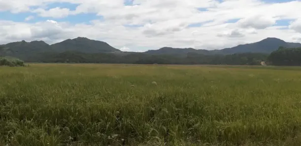Fazenda/Sítio com 1 Quarto à venda, 100000m² no Nova Descoberta, Tijucas