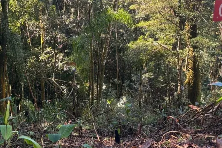 Lote/Terreno à venda, 1192m² no Remédios, Mairiporã