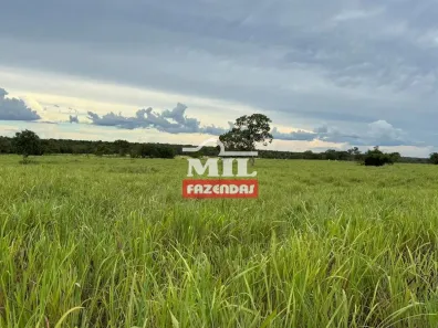 Fazenda/Sítio à venda, 500m² no , Ipameri