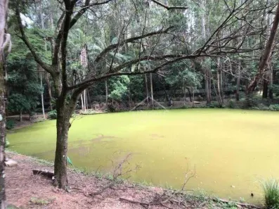 Lote/Terreno à venda, 27000m² no Vista Alegre, Vinhedo