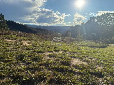 Lote/Terreno à venda, 40000m² no , Angelina