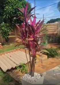 Casa com 2 Quartos à venda, 103m² no Loteamento Solar Campinas, Campinas