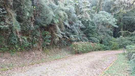 Lote/Terreno à venda, 1331m² no , Monteiro Lobato