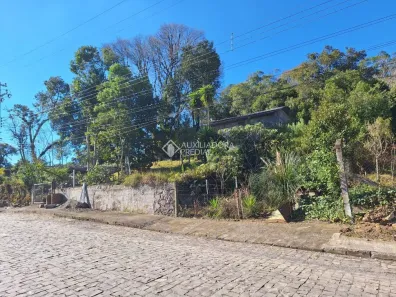Lote/Terreno à venda, 3000m² no Cruzeiro, Caxias do Sul