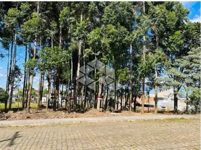 Lote/Terreno à venda, 450m² no Universitário, Bento Gonçalves