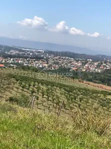 Lote/Terreno à venda, 120000m² no João XXIII, Vinhedo