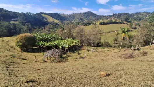 Fazenda/Sítio à venda, 12500m² no , Santo Antônio do Pinhal