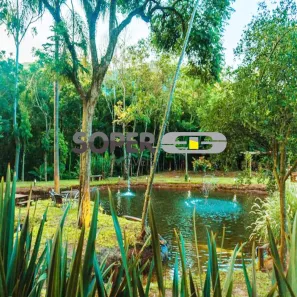 Fazenda/Sítio à venda, 5000m² no Maquiné, Maquiné