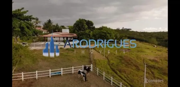 Fazenda/Sítio com 4 Quartos à venda, 60200m² no Centro, Feira de Santana