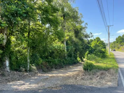 Lote/Terreno à venda, 20300m² no Flores da Cunha, Flores da Cunha