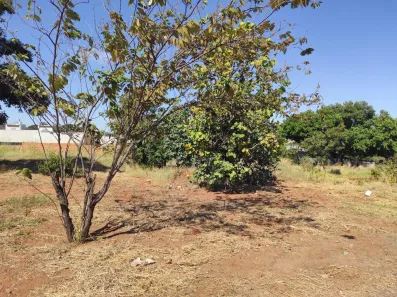 Lote/Terreno com 1 Quarto à venda, 360m² no Jardim Mansur, Campo Grande