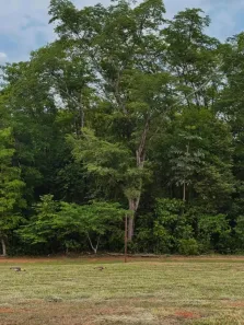Lote/Terreno à venda, 405m² no Jardins França, Goiânia