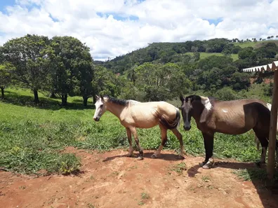 Fazenda/Sítio à venda, 20000m² no , Caeté
