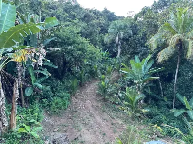 Lote/Terreno à venda, 300m² no Centro, Pacoti