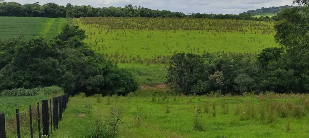 Fazenda/Sítio com 3 Quartos à venda, 70m² no , Angatuba