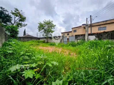 Lote/Terreno à venda, 384m² no Jardim dos Pimentas, Guarulhos