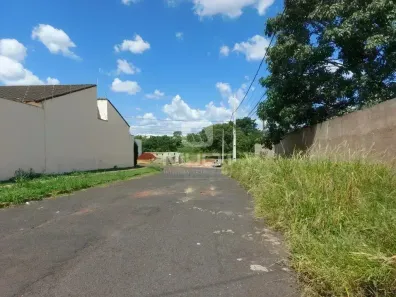 Lote/Terreno com 1 Quarto à venda, 300m² no Vigilato Pereira, Uberlândia