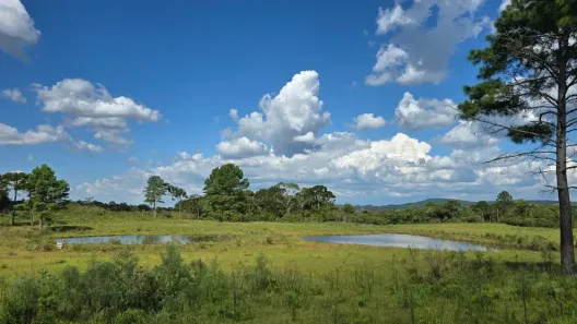 Fazenda/Sítio à venda, 720m² no , Bocaina do Sul