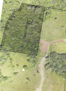 Fazenda/Sítio à venda, 10000m² no Rolante, Rolante
