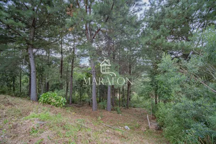 Lote/Terreno à venda, 450m² no Dutra, Gramado