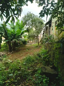 Lote/Terreno à venda, 300m² no Nossa Senhora de Fátima, Matias Barbosa