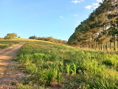 Lote/Terreno à venda, 500m² no Usina, Atibaia