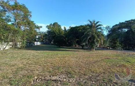 Lote/Terreno à venda, 454m² no Ratones, Florianópolis